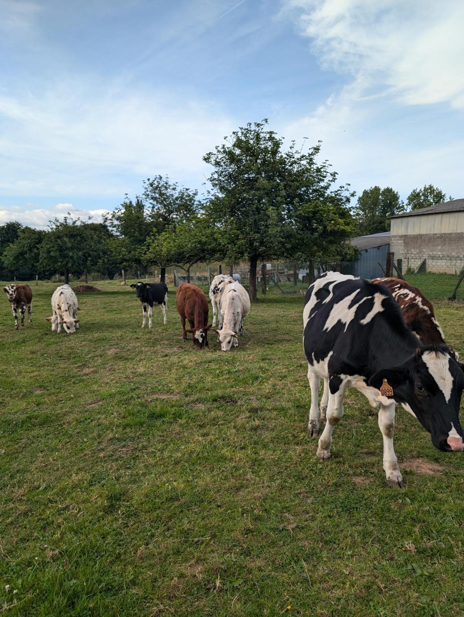 Ferme De La Gortiere Le Teilleul Exterior foto