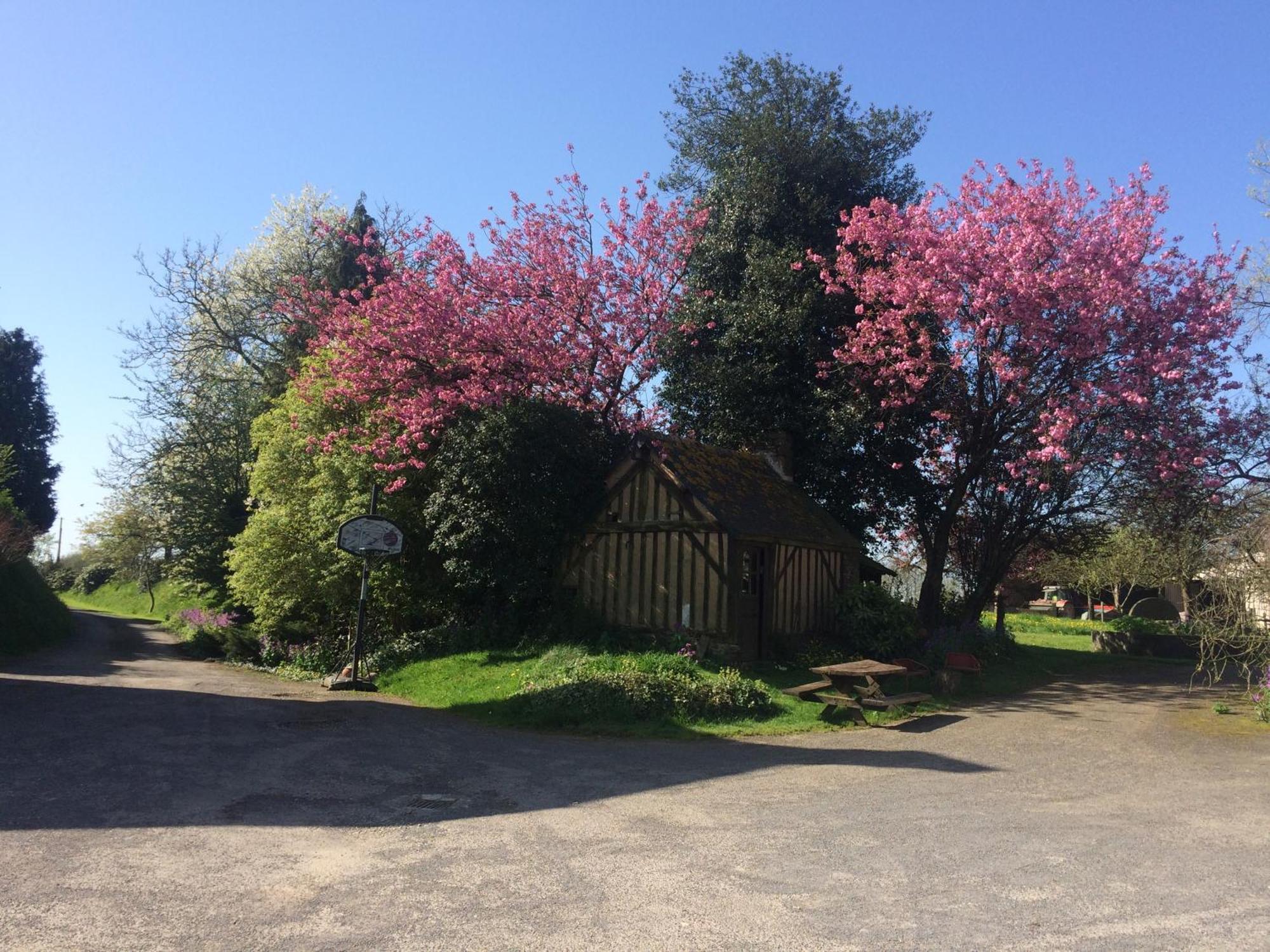 Ferme De La Gortiere Le Teilleul Exterior foto